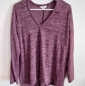 Terra & Sky Longsleeve Top - 1x